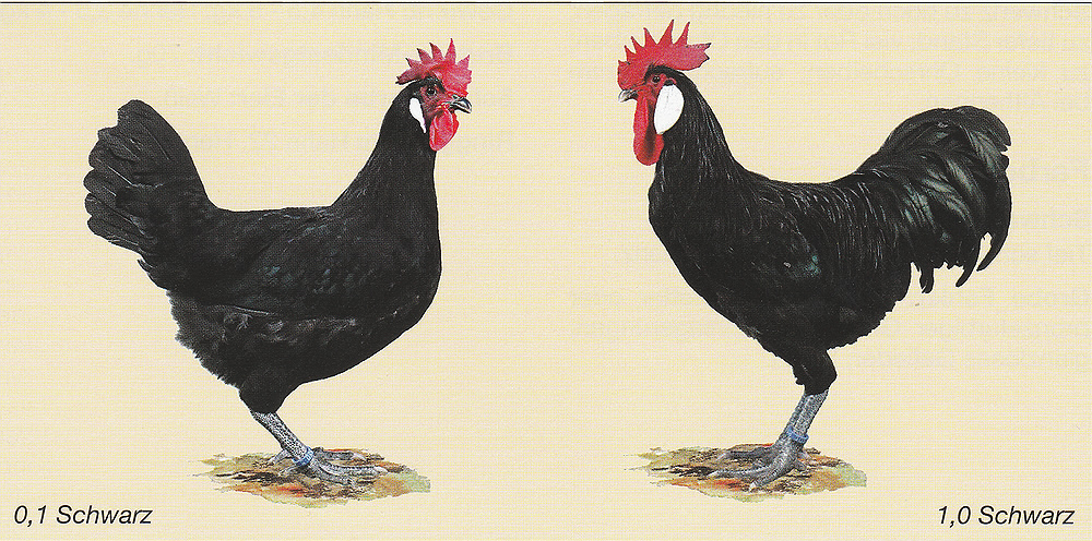 Barbezieux Barbezieux