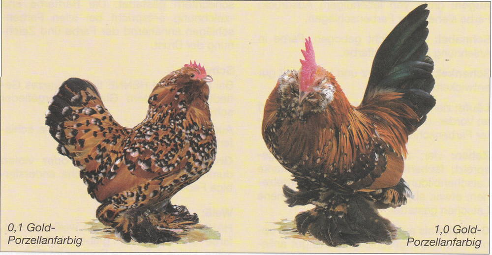 Ükkeler Bartzwerge Ükkeler Bartzwerge