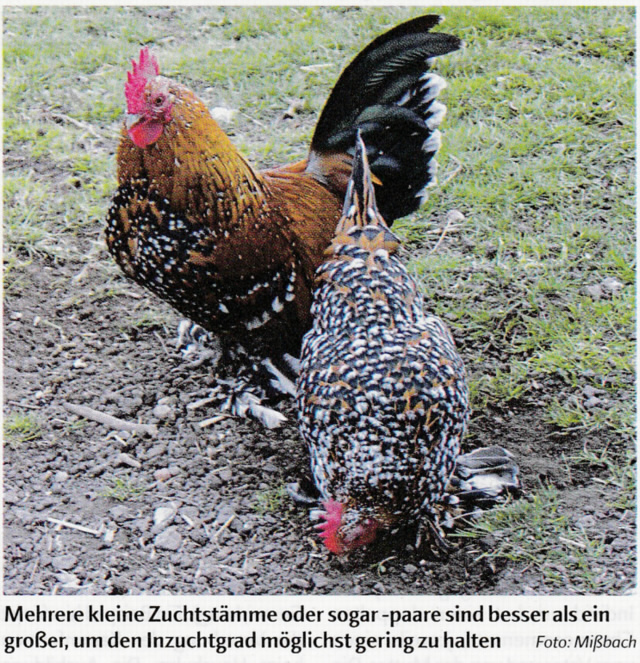 Vererbung Vererbung