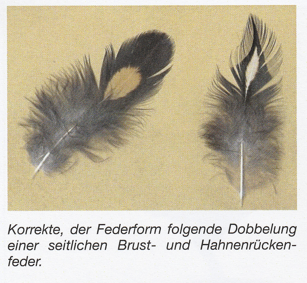 1,0 schwarz-weißgedobbelt 1,0