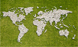 Map von Google Map