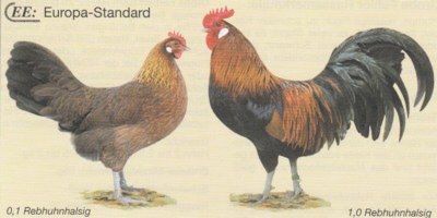 Dänische Landhühner