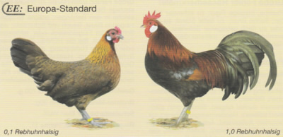 Dänische Zwerg-Landhühner